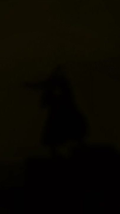 TikTok video thumbnail by zfr_lmoffline
