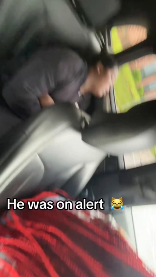 TikTok video thumbnail by dumbbbbk
