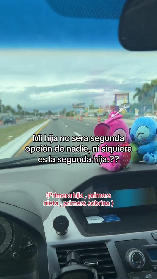 TikTok video thumbnail by gissellealfaro25