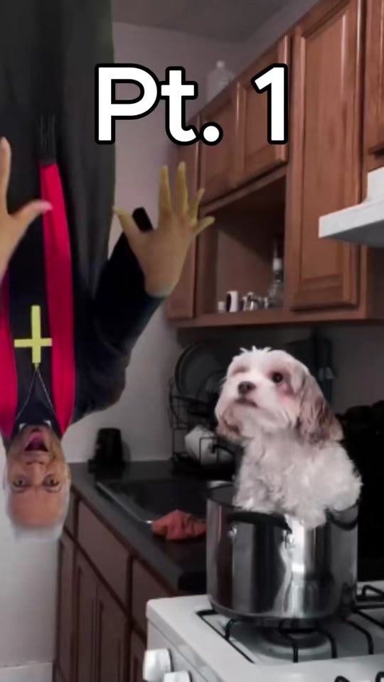 TikTok video thumbnail by lante_scary_lives