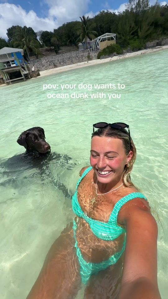 TikTok video thumbnail by kellypickup1