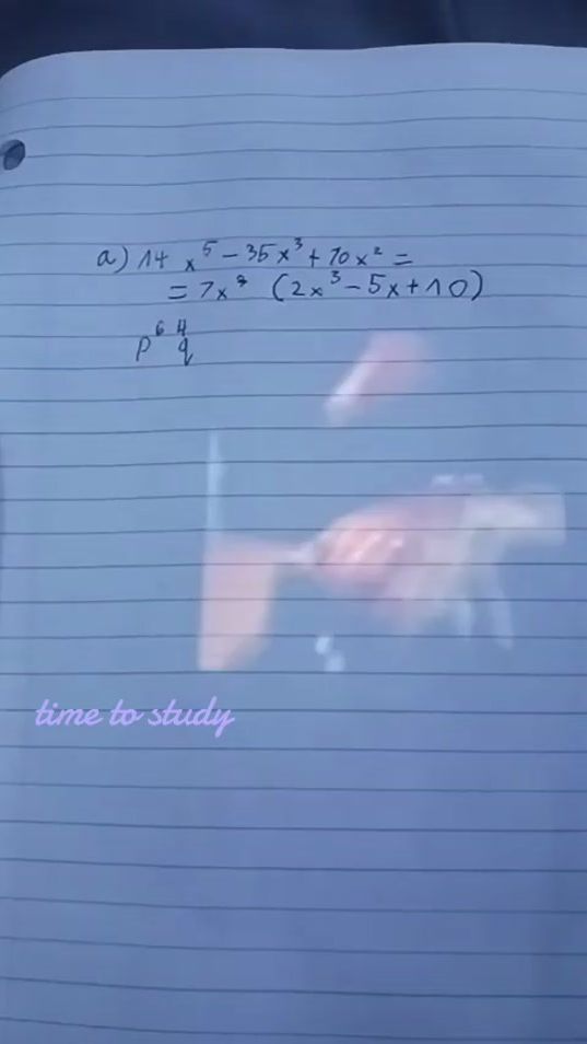 TikTok video thumbnail by mellypuffs