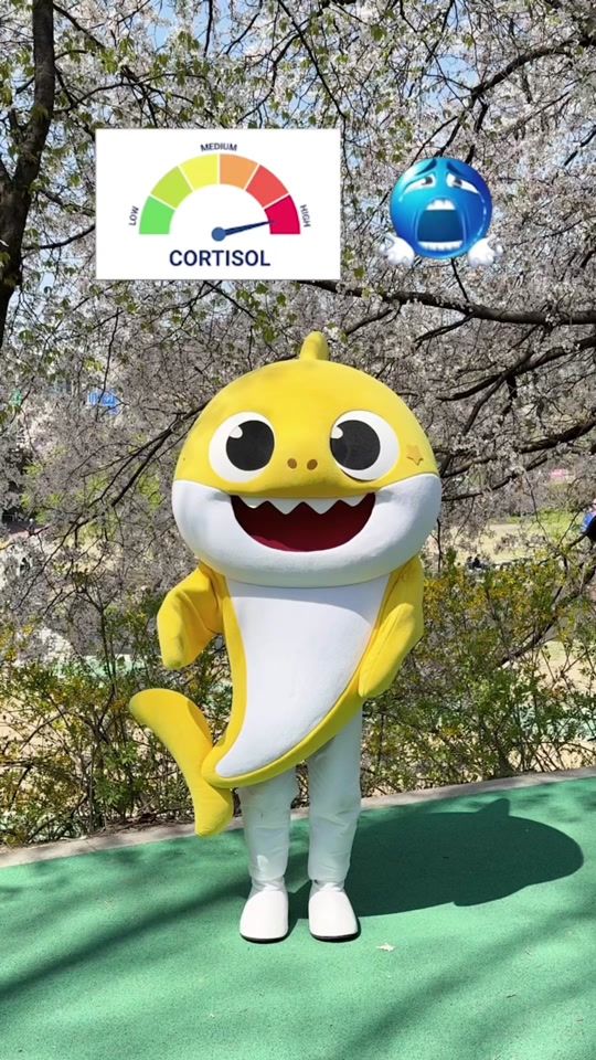 TikTok video thumbnail by babyshark_brooklyn