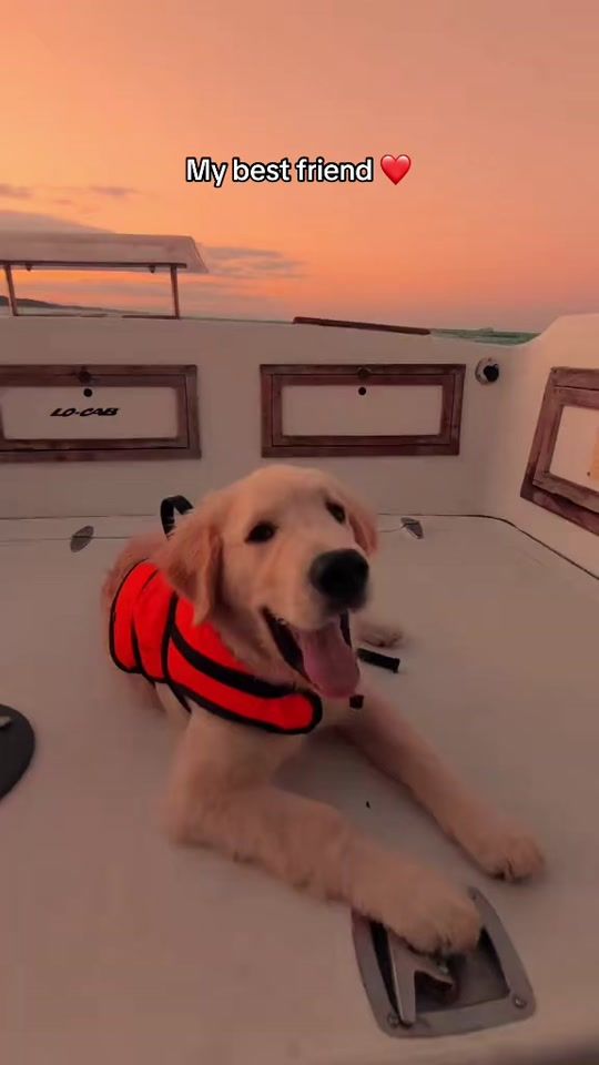 TikTok video thumbnail by barstoolsports