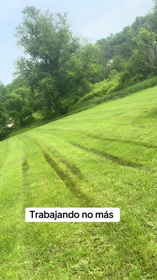 TikTok video thumbnail by ceron.503