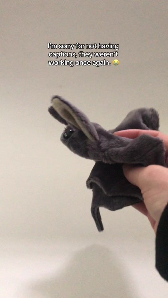 TikTok video thumbnail by bean_bats