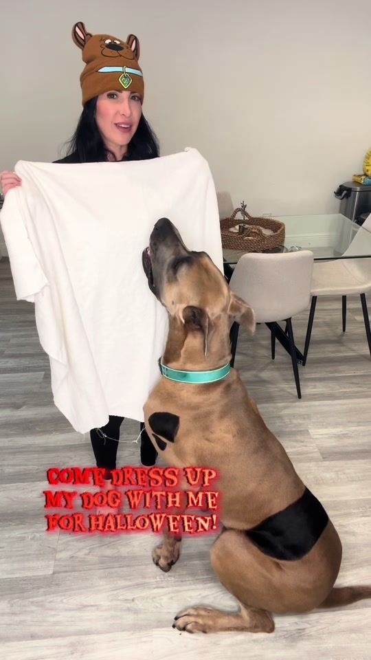 TikTok video thumbnail by thereal_scoobydoo