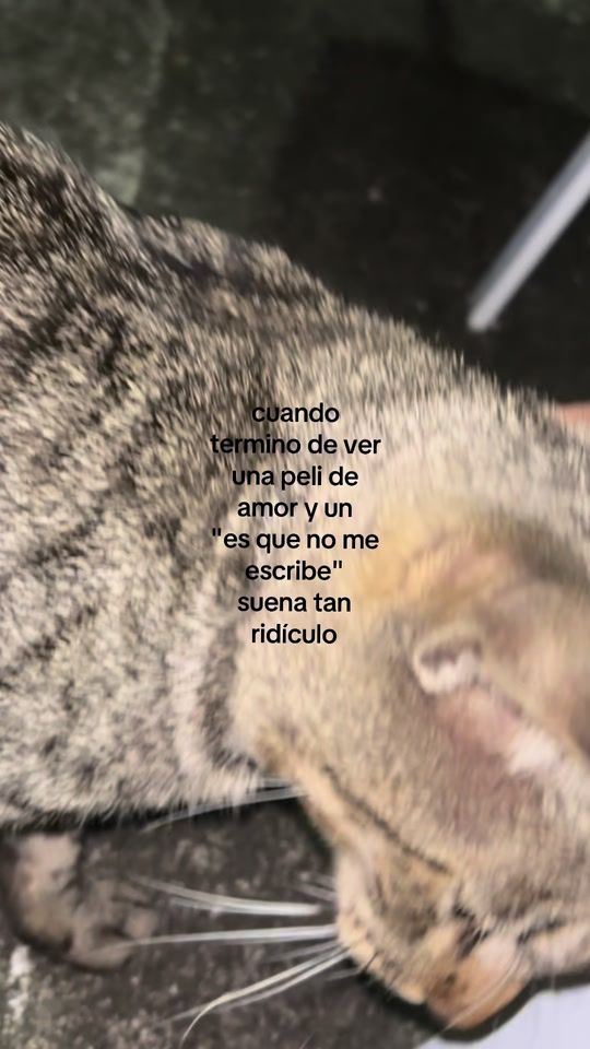 TikTok video thumbnail by oofwj