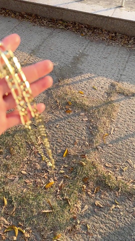 TikTok video thumbnail by holylegend5th