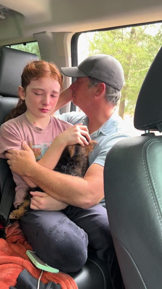 TikTok video thumbnail by wispyblissfarms