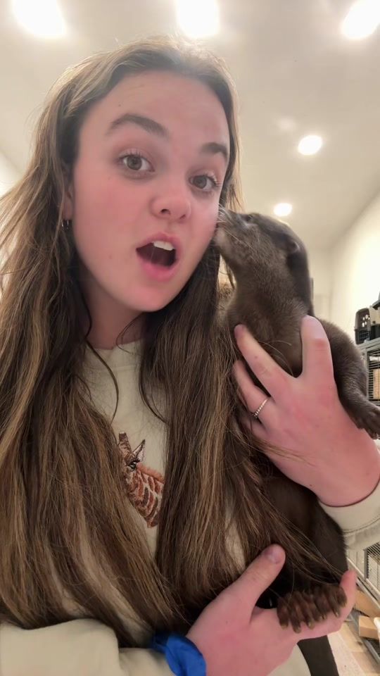 TikTok video thumbnail by kamygrant