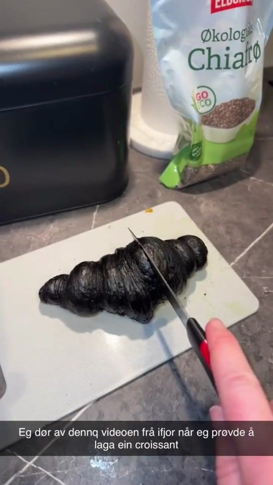 TikTok video thumbnail by petlovertimes