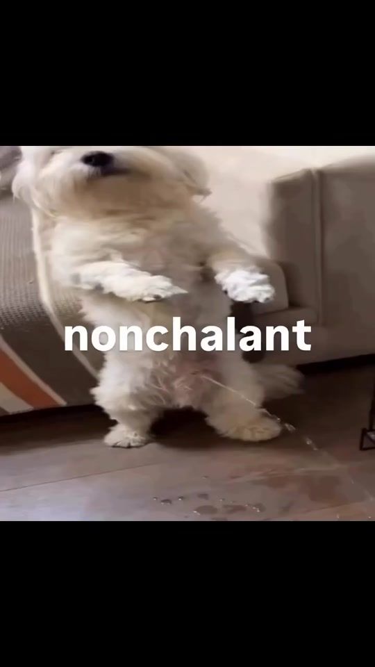 TikTok video thumbnail by loverbboiiii