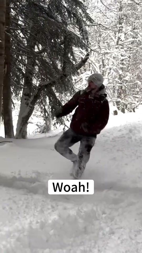 TikTok video thumbnail by petlovertimes