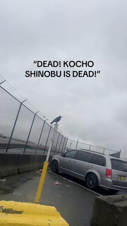 TikTok video thumbnail by mustbegelu