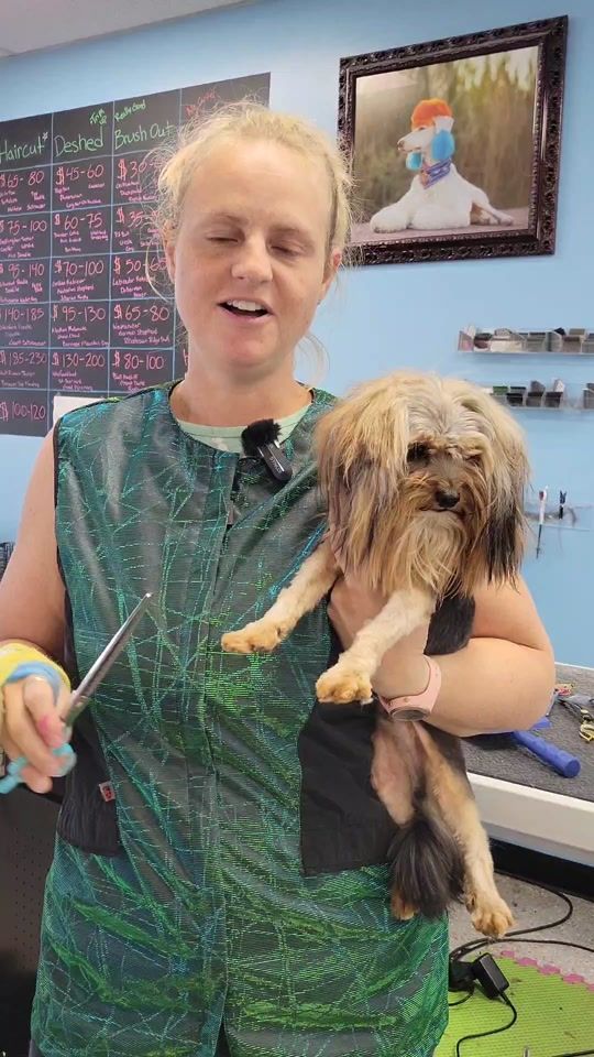 TikTok video thumbnail by madsaboutdogs