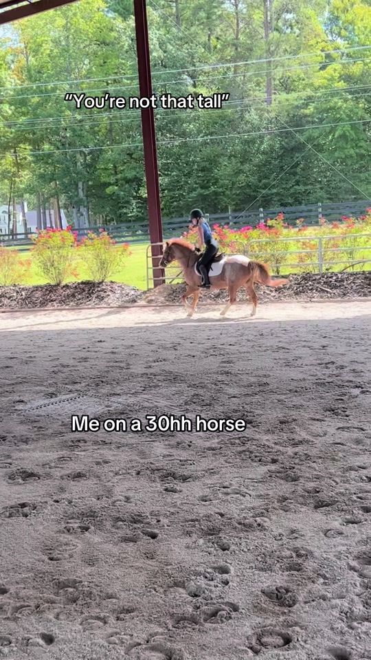 TikTok video thumbnail by cch.eq