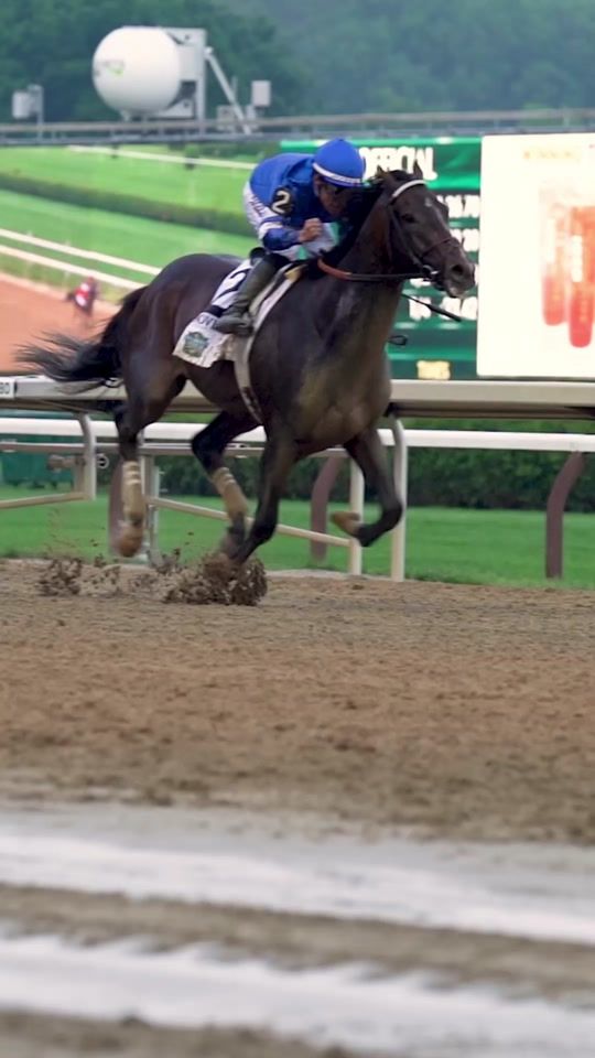 TikTok video thumbnail by thebloodhorse