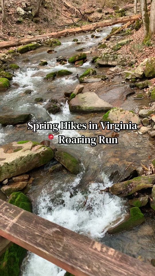 TikTok video thumbnail by explorevirginia