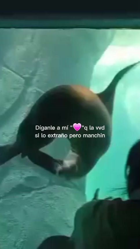 TikTok video thumbnail by cir_se17