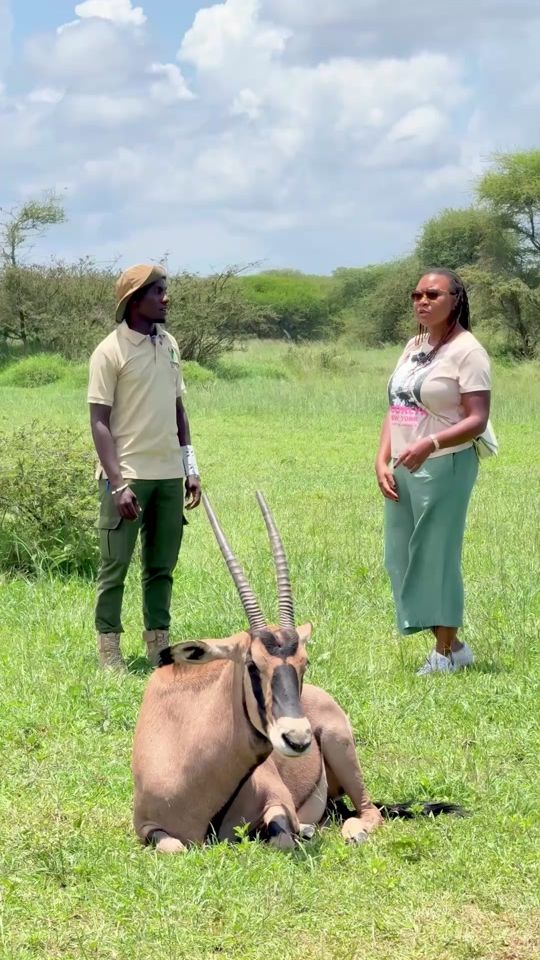 TikTok video thumbnail by servalwildlife
