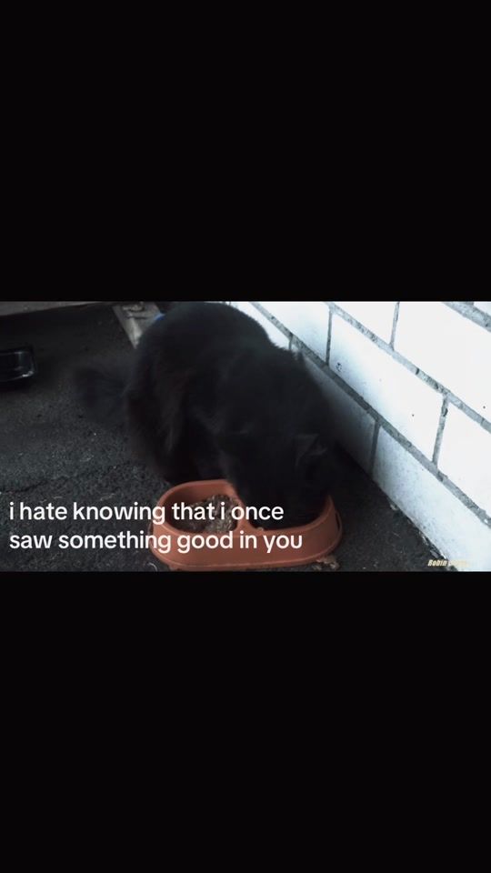 TikTok video thumbnail by themindofdylan