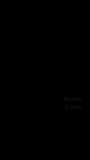 TikTok video thumbnail by westernhallows