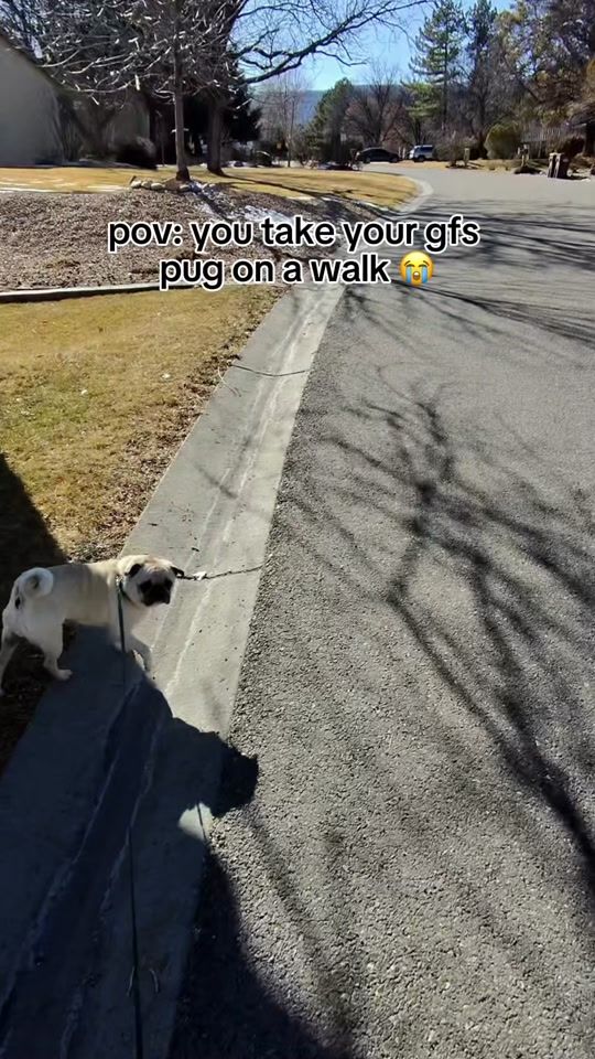 TikTok video thumbnail by bevoofficial