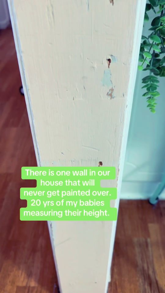 TikTok video thumbnail by amy_c_wood