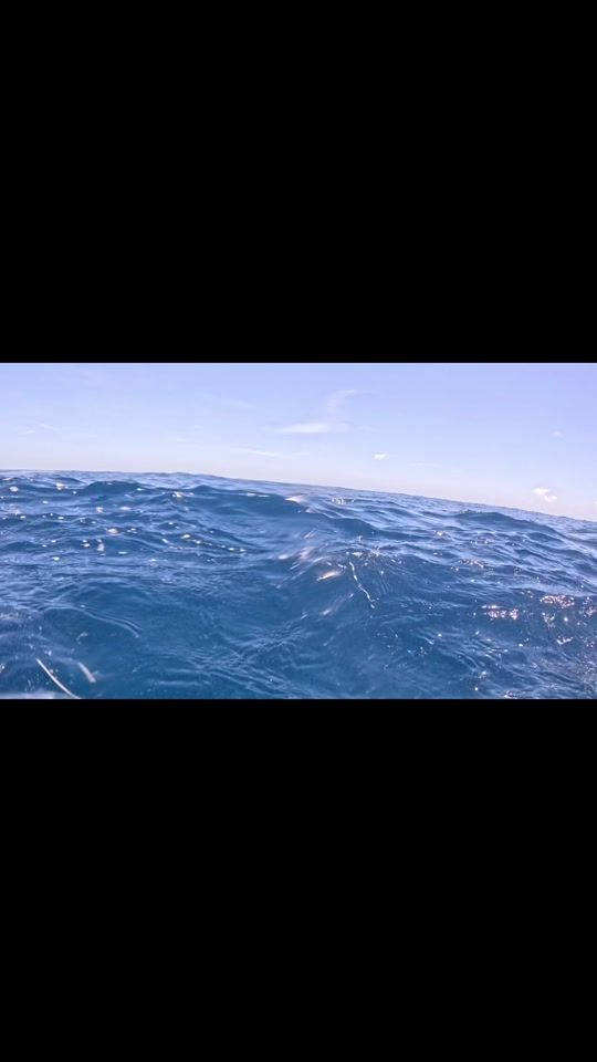 TikTok video thumbnail by colebybarnes