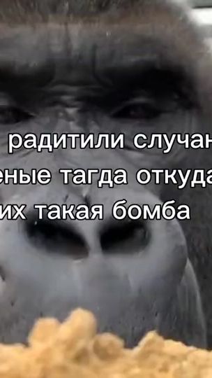 TikTok video thumbnail by monky123s
