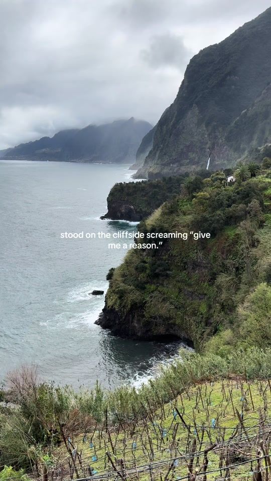 TikTok video thumbnail by momentswithjazmyne