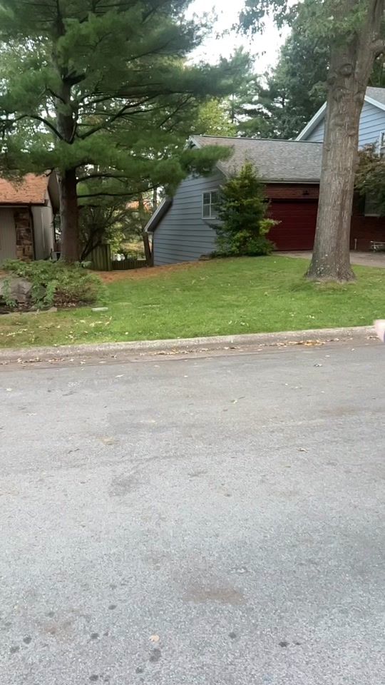 TikTok video thumbnail by lilly_brushwood