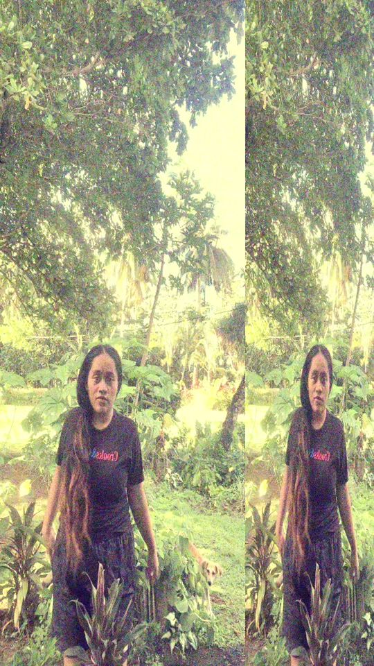 TikTok video thumbnail by ms.polito