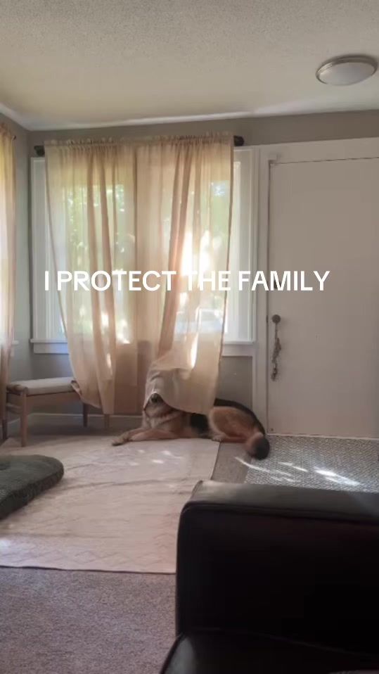 TikTok video thumbnail by justinemferg