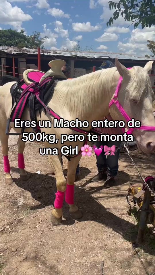 TikTok video thumbnail by ivonneronquillo