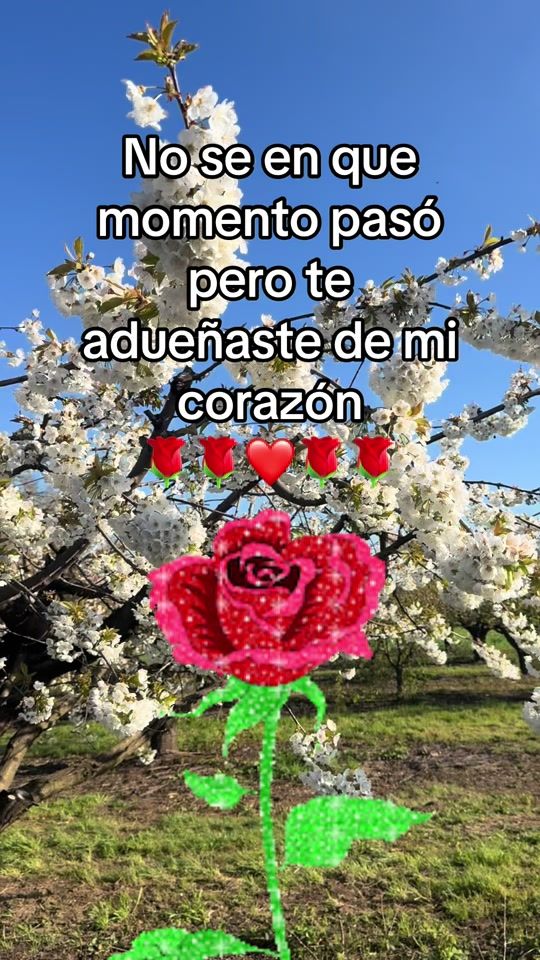 TikTok video thumbnail by pablocarbajal63