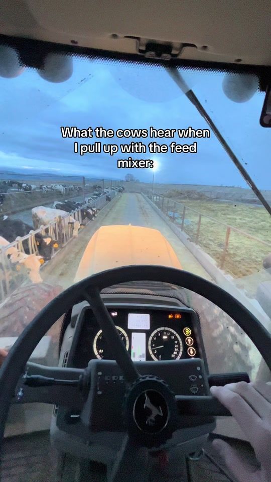 TikTok video thumbnail by farmerniels