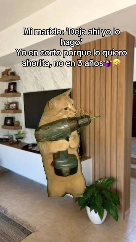 TikTok video thumbnail by gris_coronado