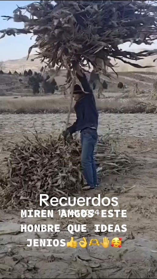 TikTok video thumbnail by guanaquita100