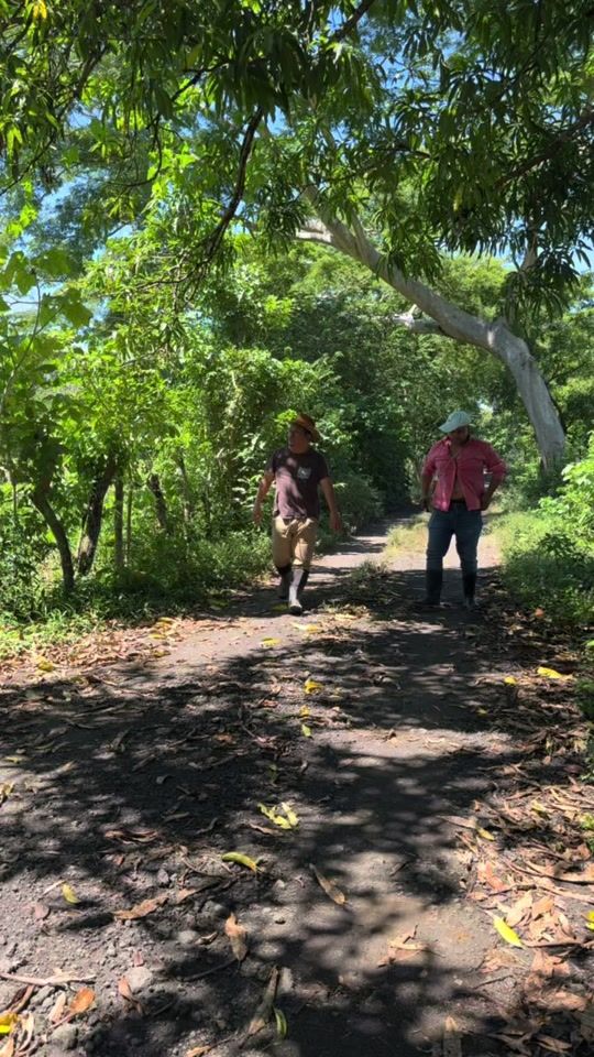 TikTok video thumbnail by noe_boquin