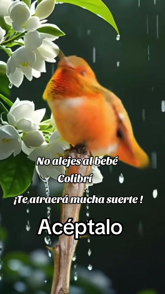 TikTok video thumbnail by migne_00