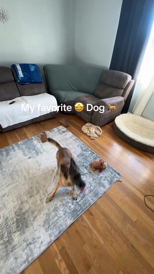 TikTok video thumbnail by robert.ramrez.alc