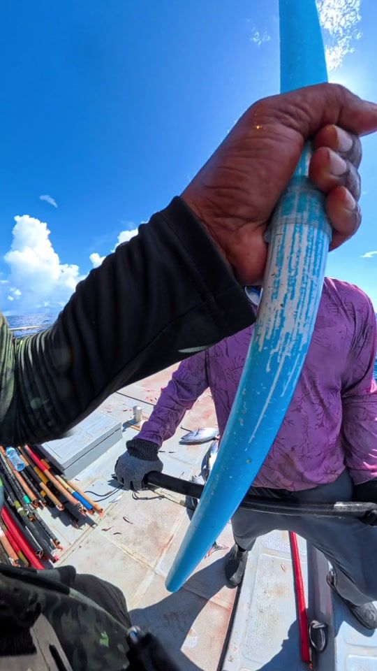 TikTok video thumbnail by fishermanmv