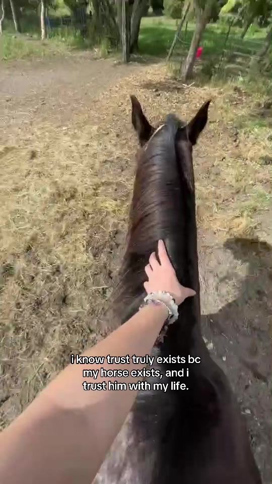TikTok video thumbnail by ary.hearts.apollo