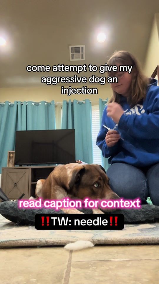 TikTok video thumbnail by broke.college.doggos