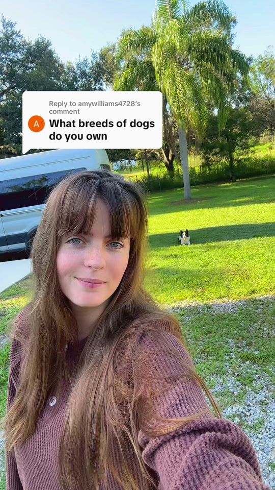 TikTok video thumbnail by armedk9