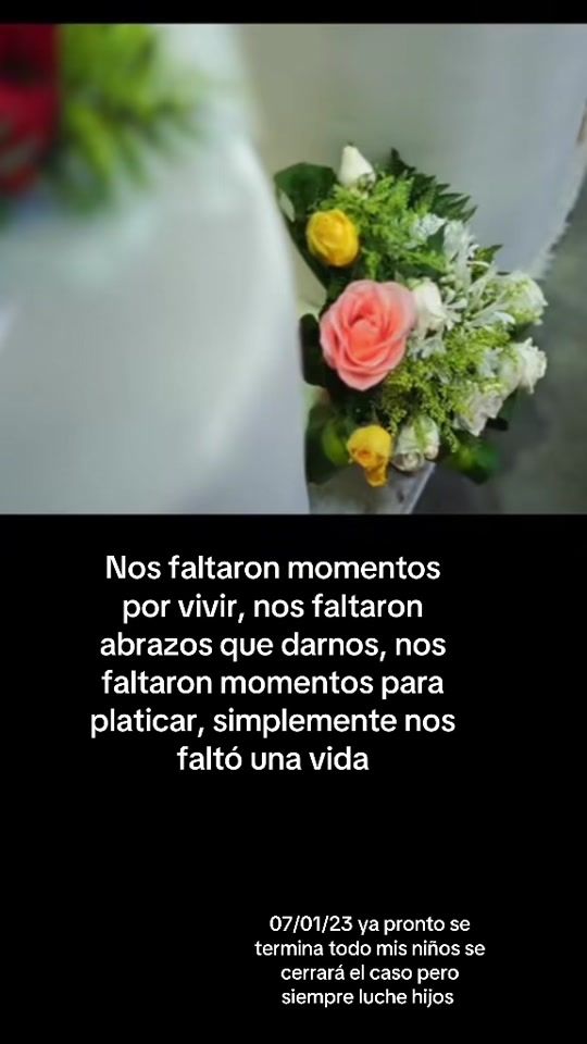 TikTok video thumbnail by lapive504