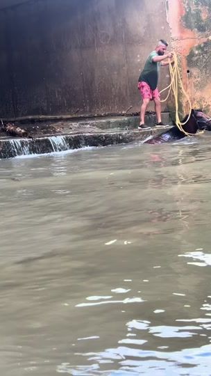 TikTok video thumbnail by bryangoz28