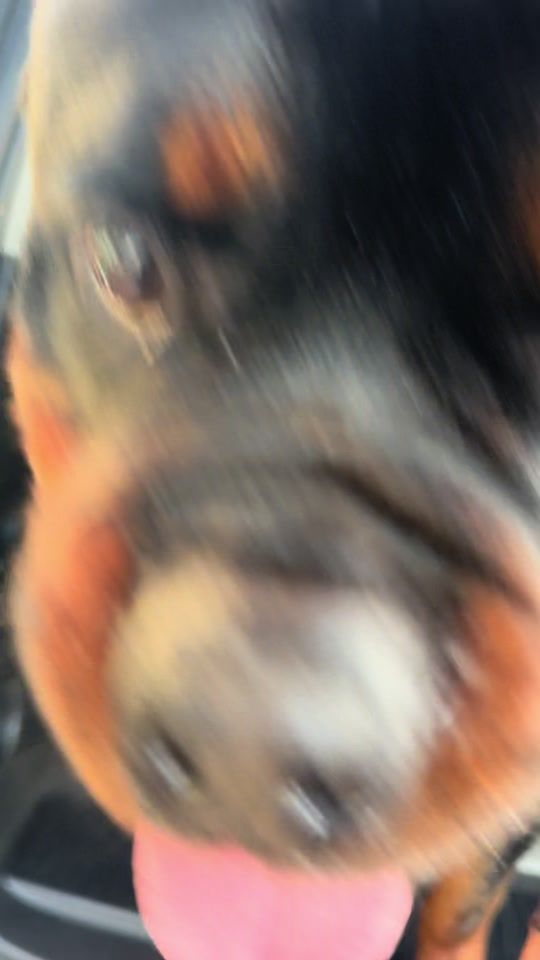 TikTok video thumbnail by ramboretro